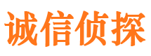 东阳市调查公司